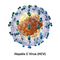 A Hepatitis C gyógyítása