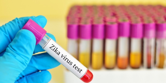 Védelmet nyújthat két, új vakcina a Zika ellen.
