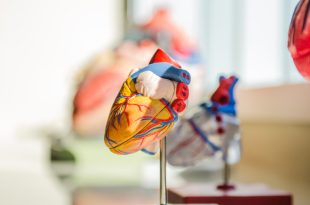 teljes szív egészsége nőknek munkafüzet miokardiális hipertrófia magas vérnyomással
