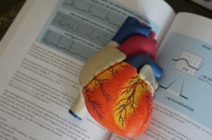 alvási szív-egészségügyi tanulmányok publikációi