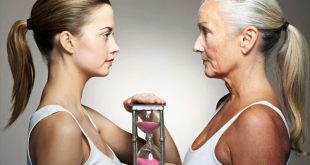 A test öregedésének állomásai